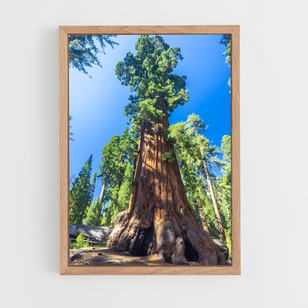 ap-trees-5 cadre Bois clair