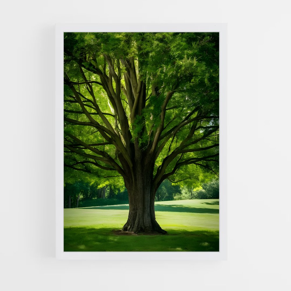 ap-trees-6 cadre Blanc