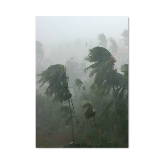 Poster Tropical storm 97797