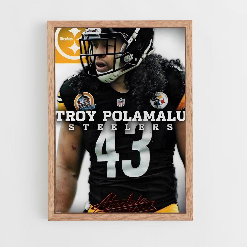 ap-troy polamalu-6 cadre Bois clair