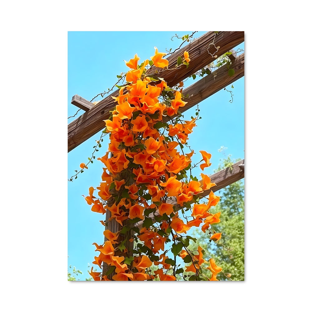 Poster Fleurs de Trompette