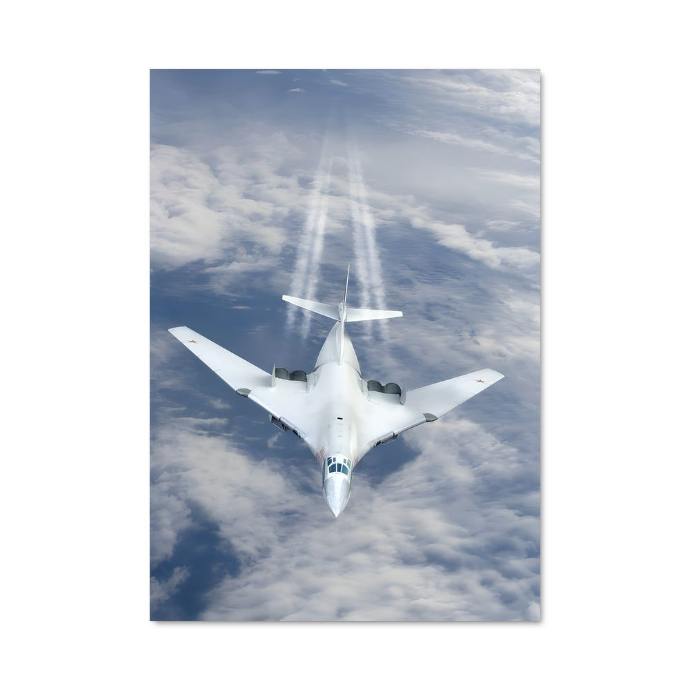 Poster Vol de Cendres