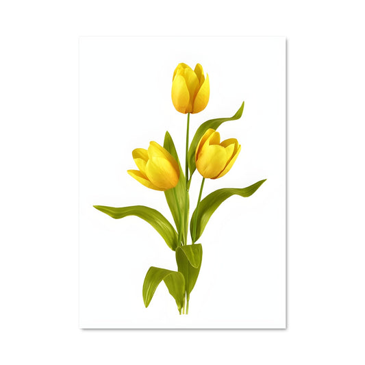 Poster Tulipe Radieuse