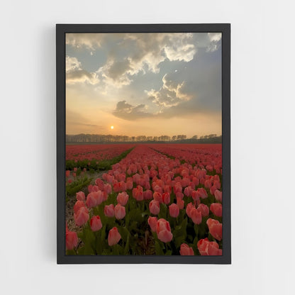 ap-tulip-6 cadre Noir