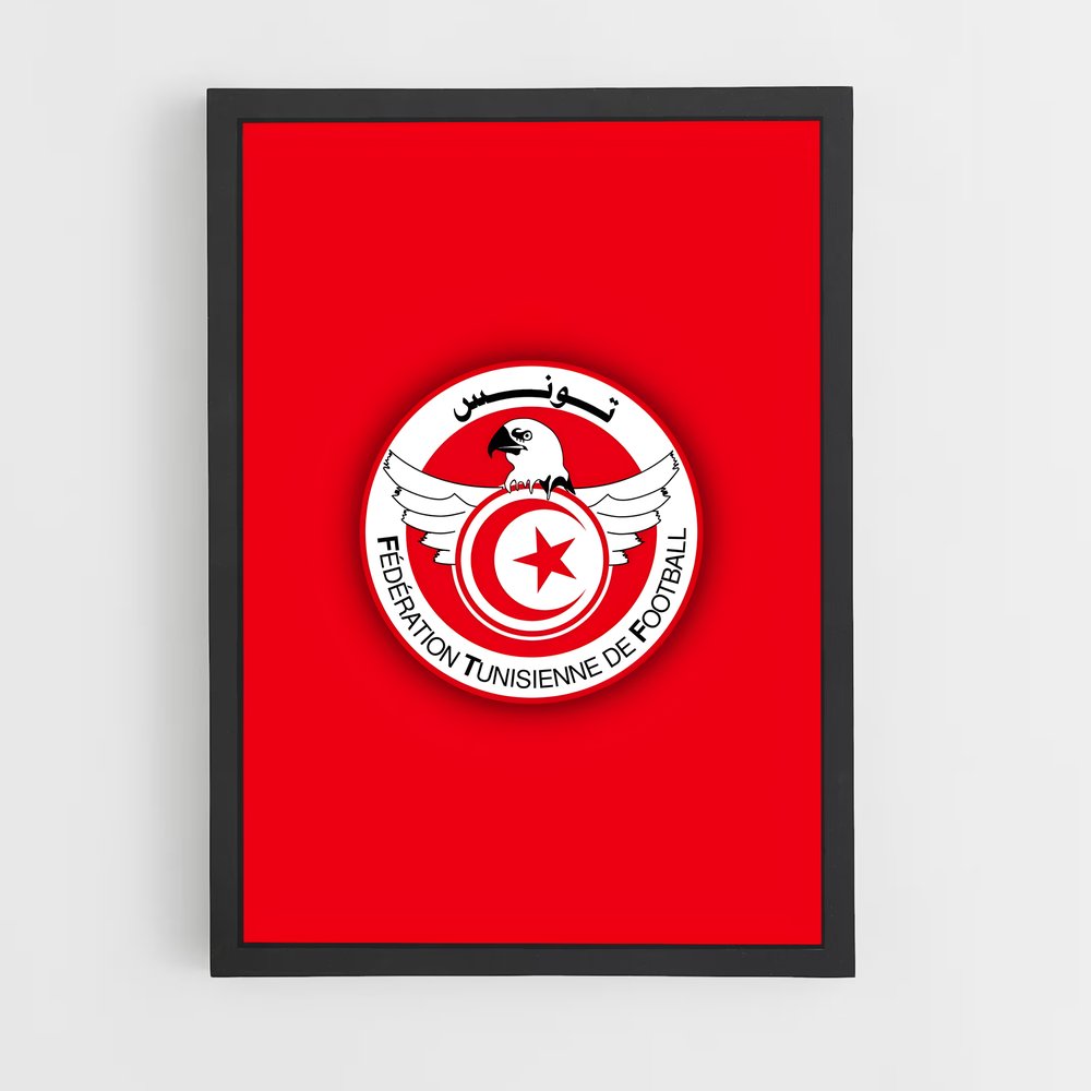 ap-tunisia national football team-1 cadre Noir