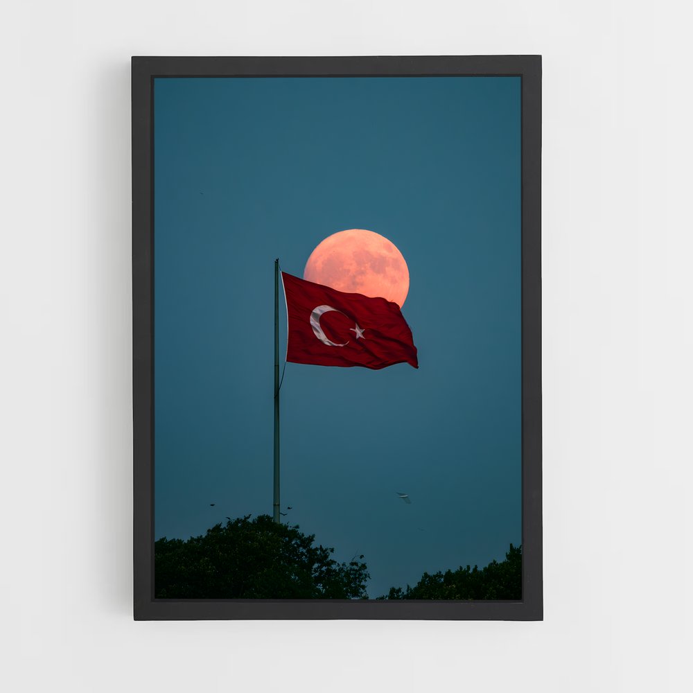 ap-turkey flag-6 cadre Noir