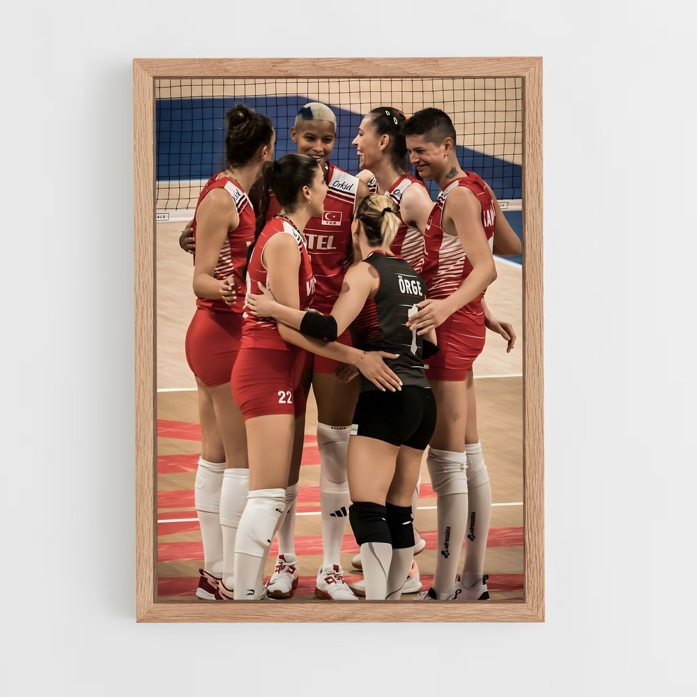 ap-turkey national volleyball team-3 cadre Bois clair