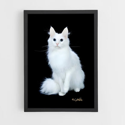 ap-turkish angora-3 cadre Noir