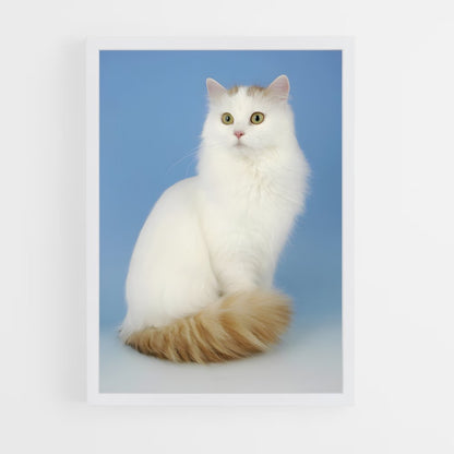 ap-turkish van-2 cadre Blanc