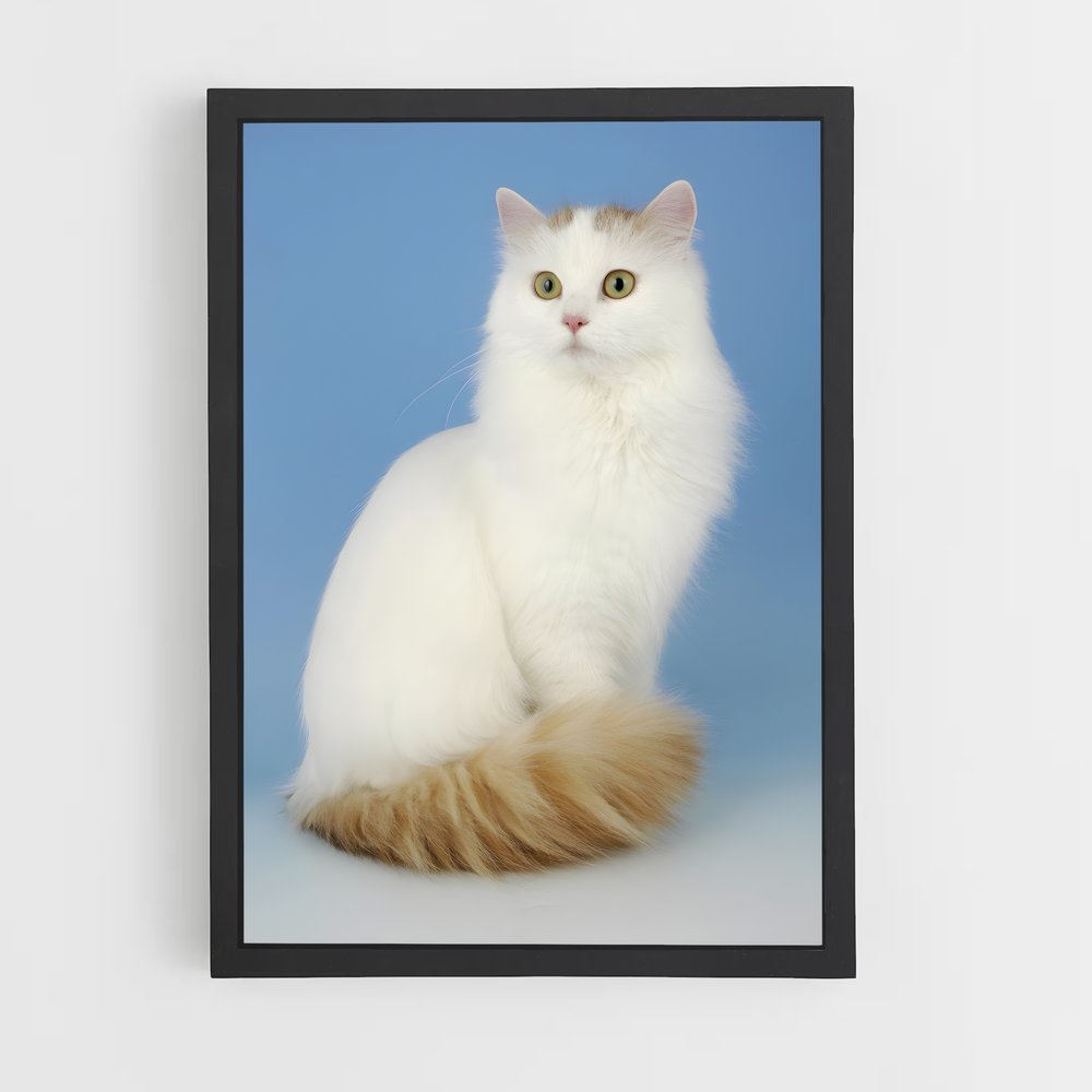 ap-turkish van-2 cadre Noir