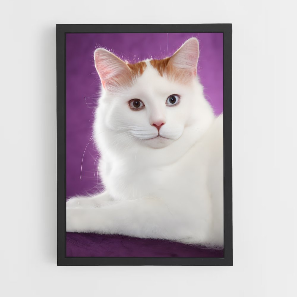ap-turkish van-3 cadre Noir