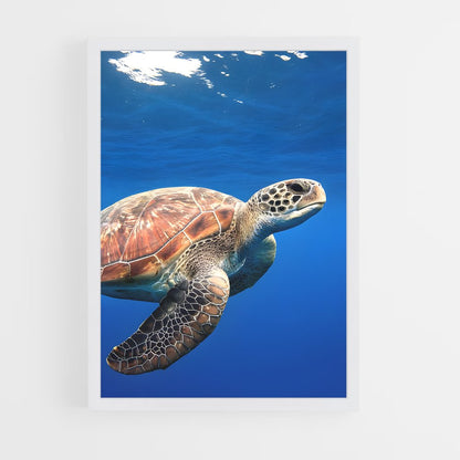 ap-turtle-1 cadre Blanc
