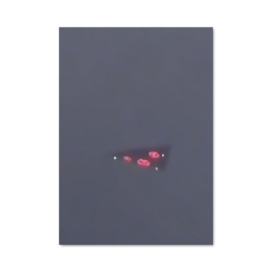 Poster Vol Écarlate
