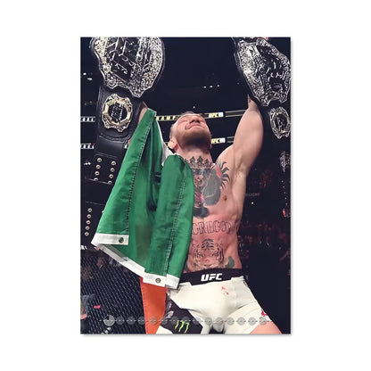 Poster Ufc 205 62525