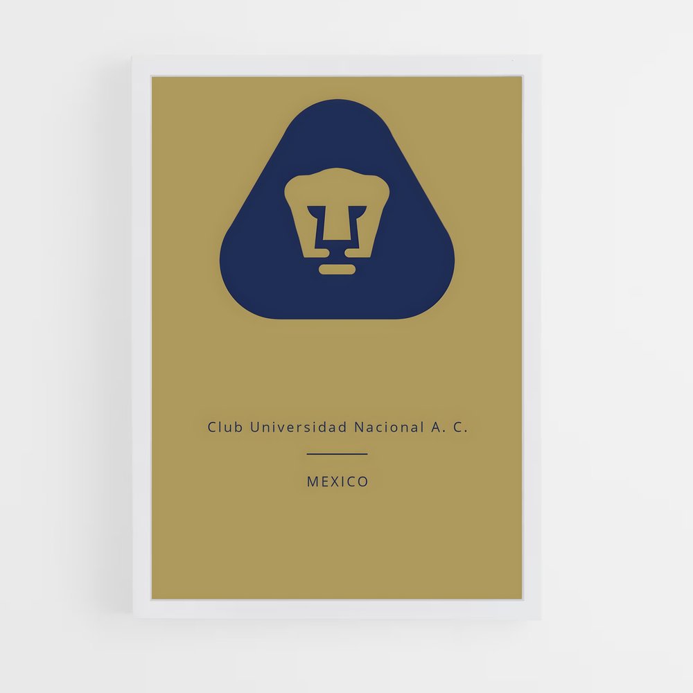 ap-universidad central football club-2 cadre Blanc