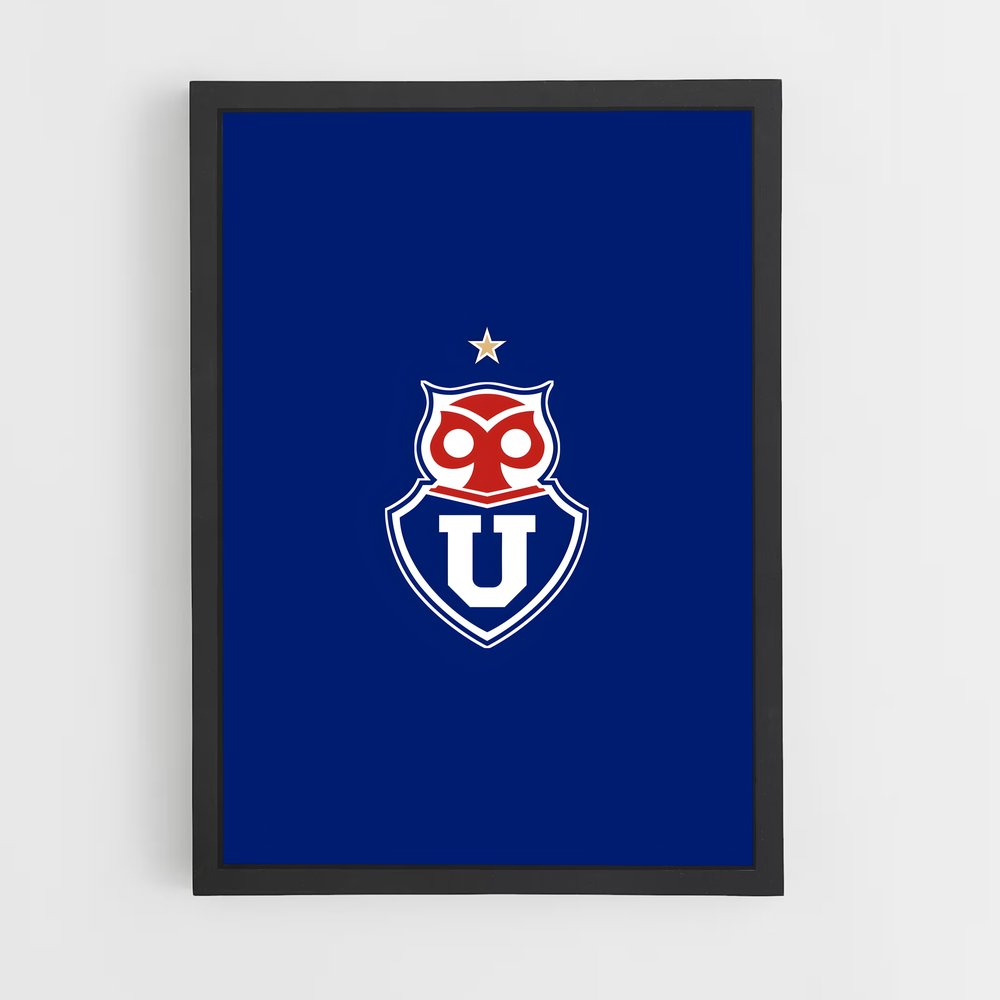 ap-universidad de chile football club-1 cadre Noir