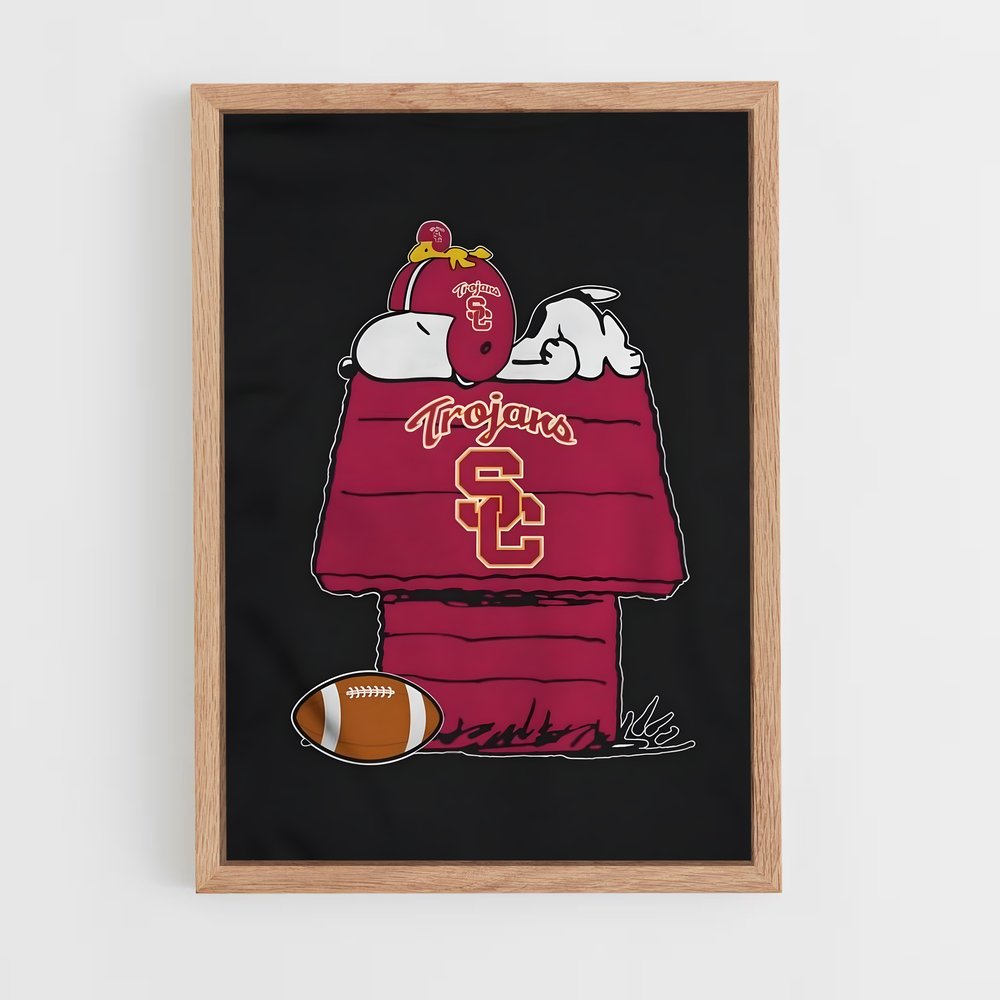 ap-usc trojans-2 cadre Bois clair