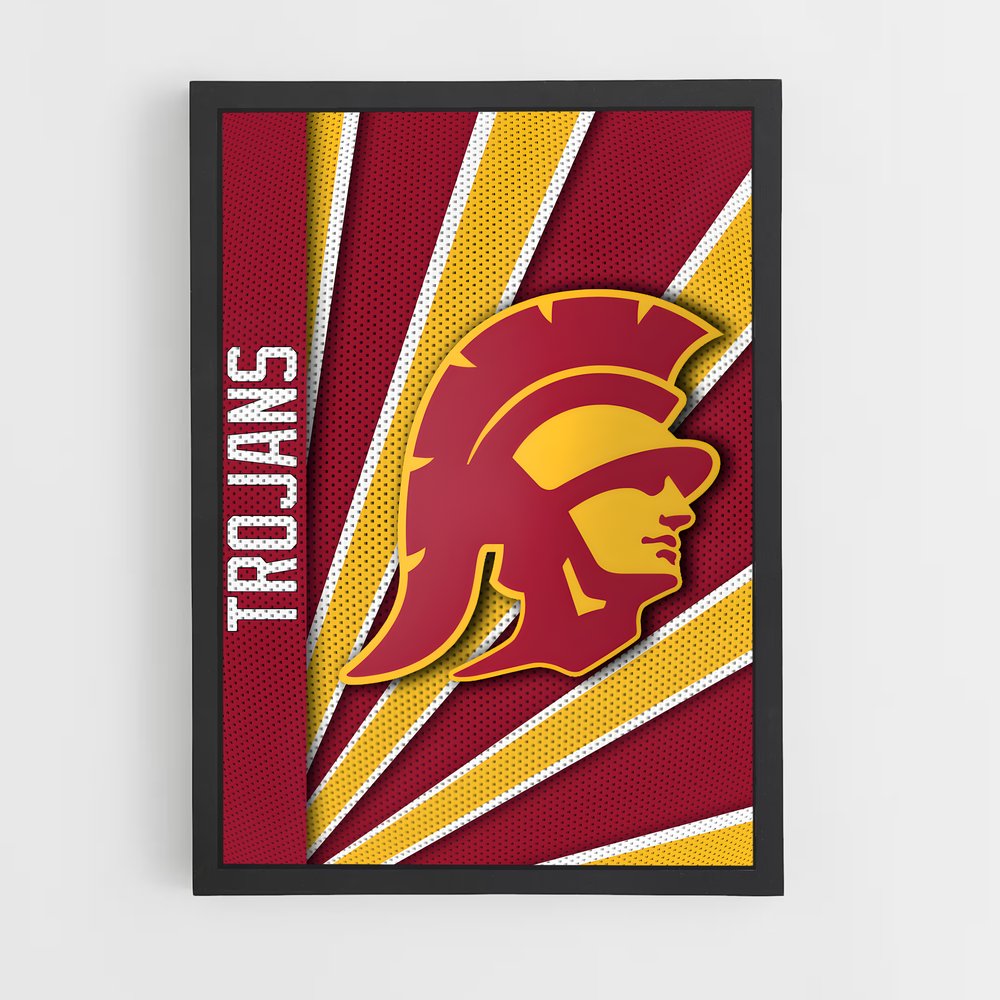 ap-usc trojans-6 cadre Noir