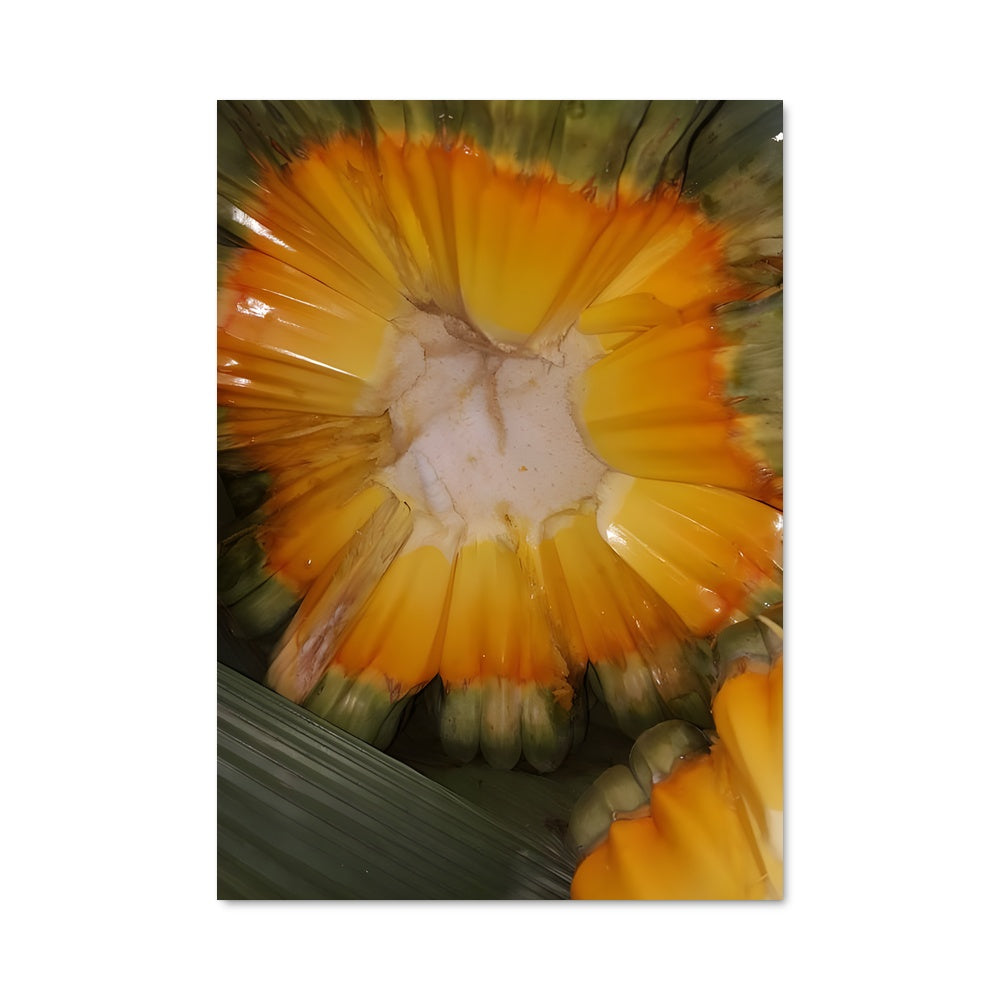 Poster Fleur de Vaiaku