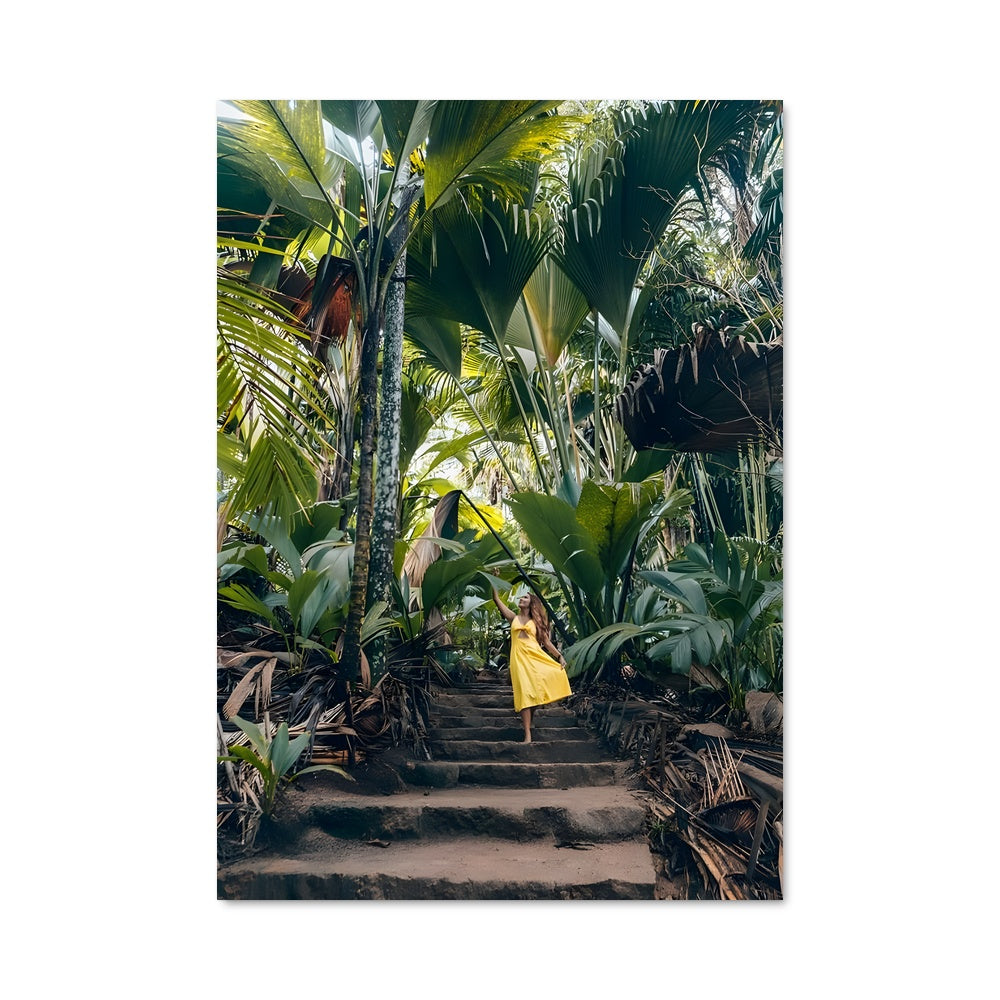 Poster Montée En Lumière