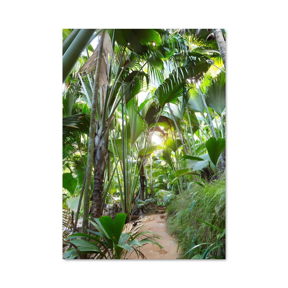 Poster Valley de mai 87103