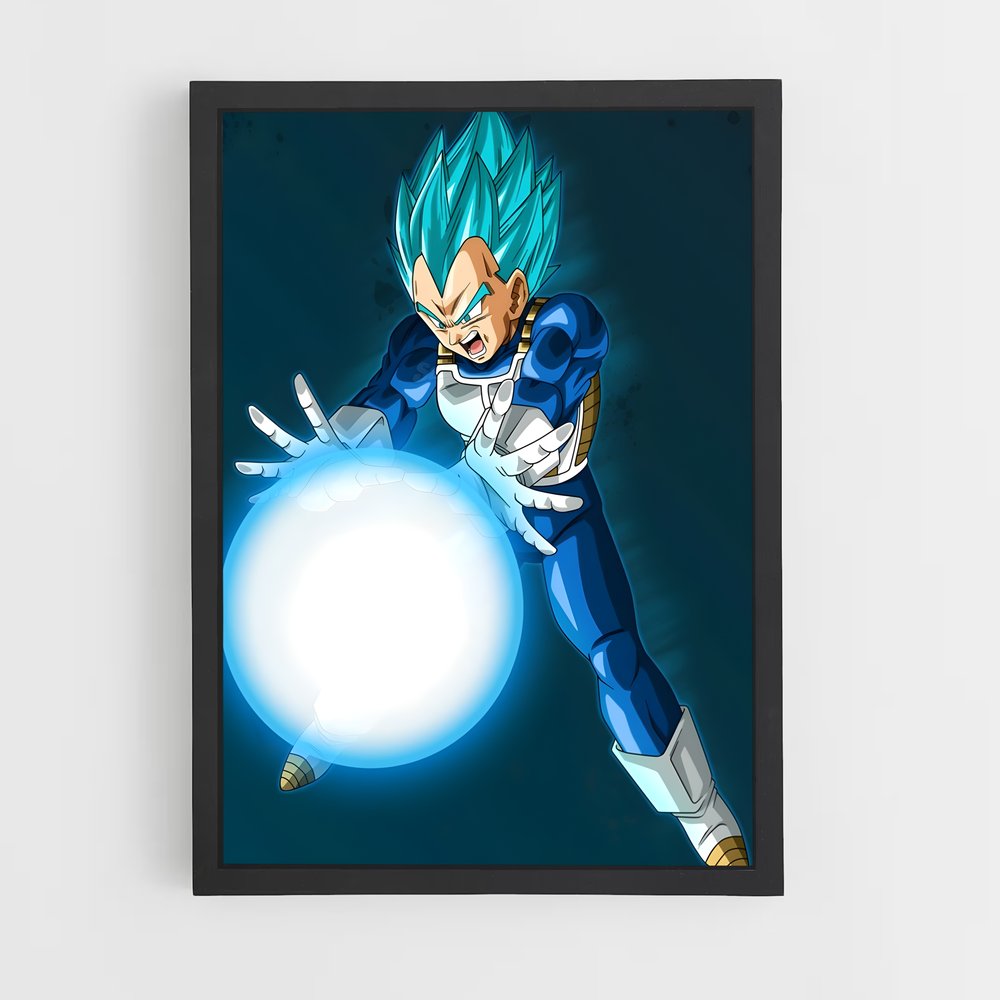 ap-vegeta-16 cadre Noir