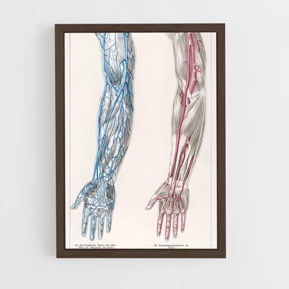 ap-vein-3 cadre Bois foncé