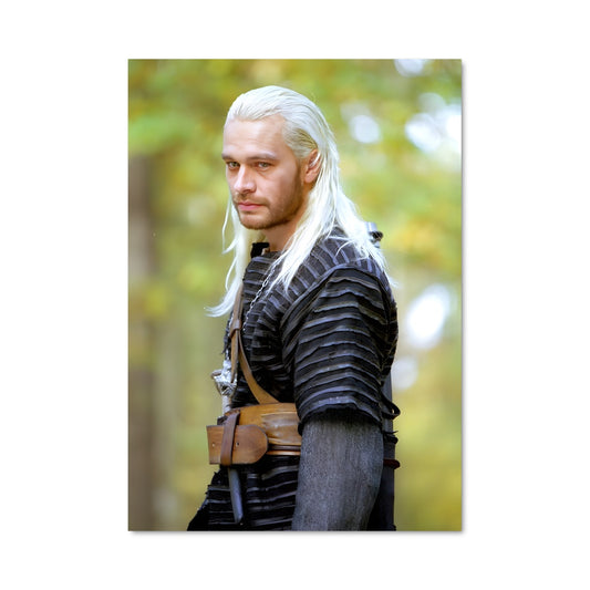 Poster Vesemir kaer morhen 38983