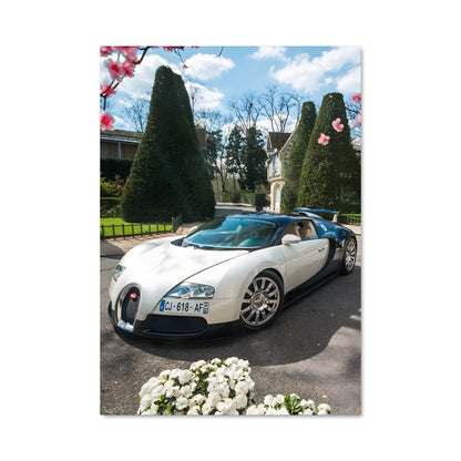 Poster Veyron Élegance