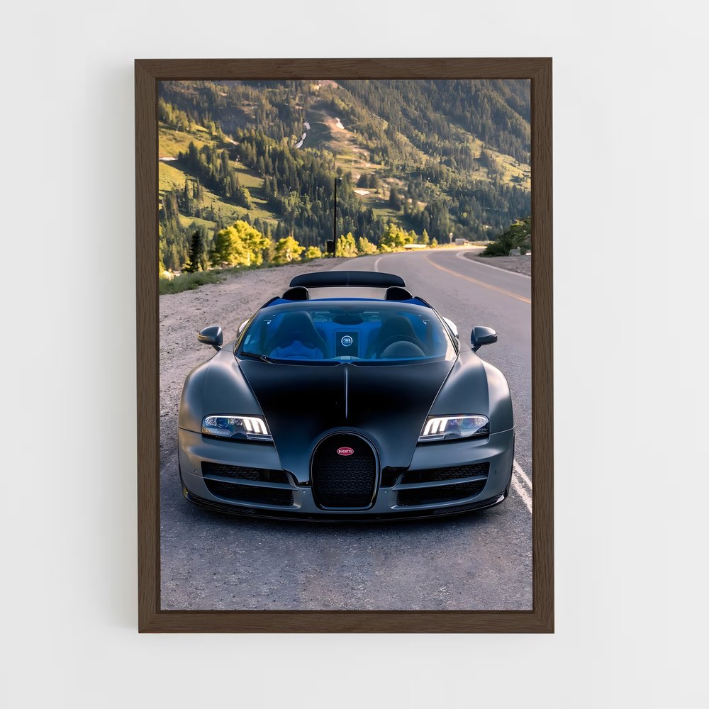 ap-veyron grand sport-2 cadre Bois foncé
