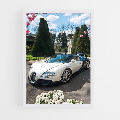 ap-veyron grand sport-3 cadre Blanc