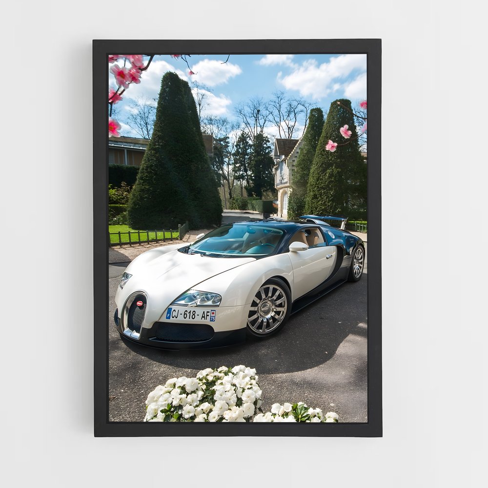 ap-veyron grand sport-3 cadre Noir