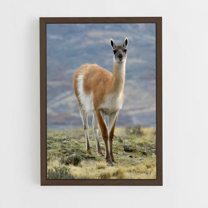 ap-vicuna-3 cadre Bois foncé