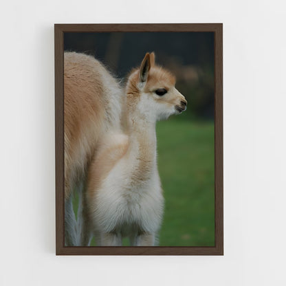 ap-vicuna-5 cadre Bois foncé