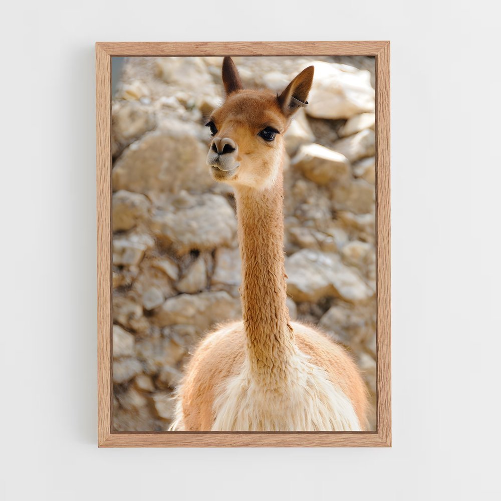 ap-vicuna-7 cadre Bois clair