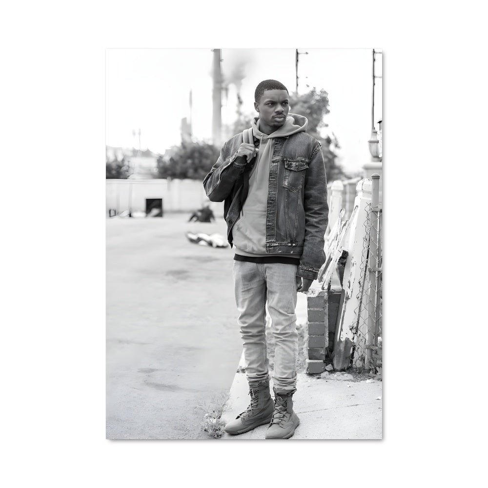Poster Vince staples 54686