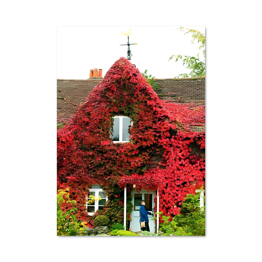 Poster L'Étreinte du Virginia