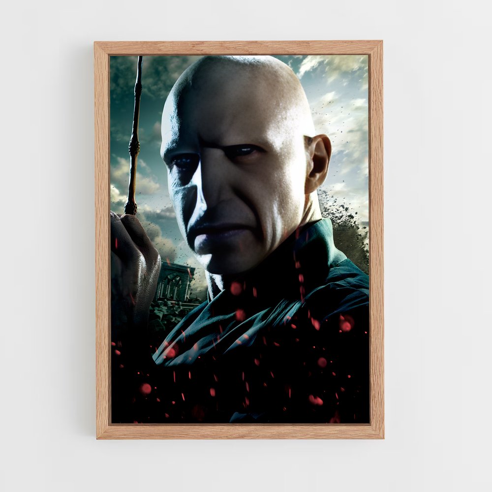 ap-voldemort-2 cadre Bois clair