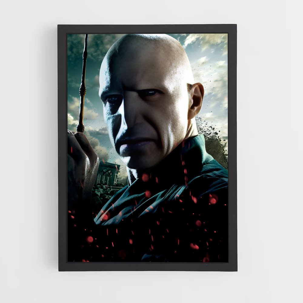 ap-voldemort-2 cadre Noir