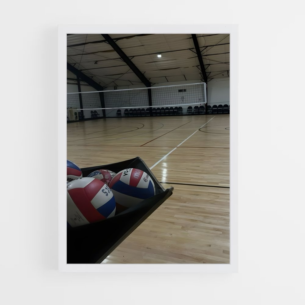 ap-volleyball-1 cadre Blanc