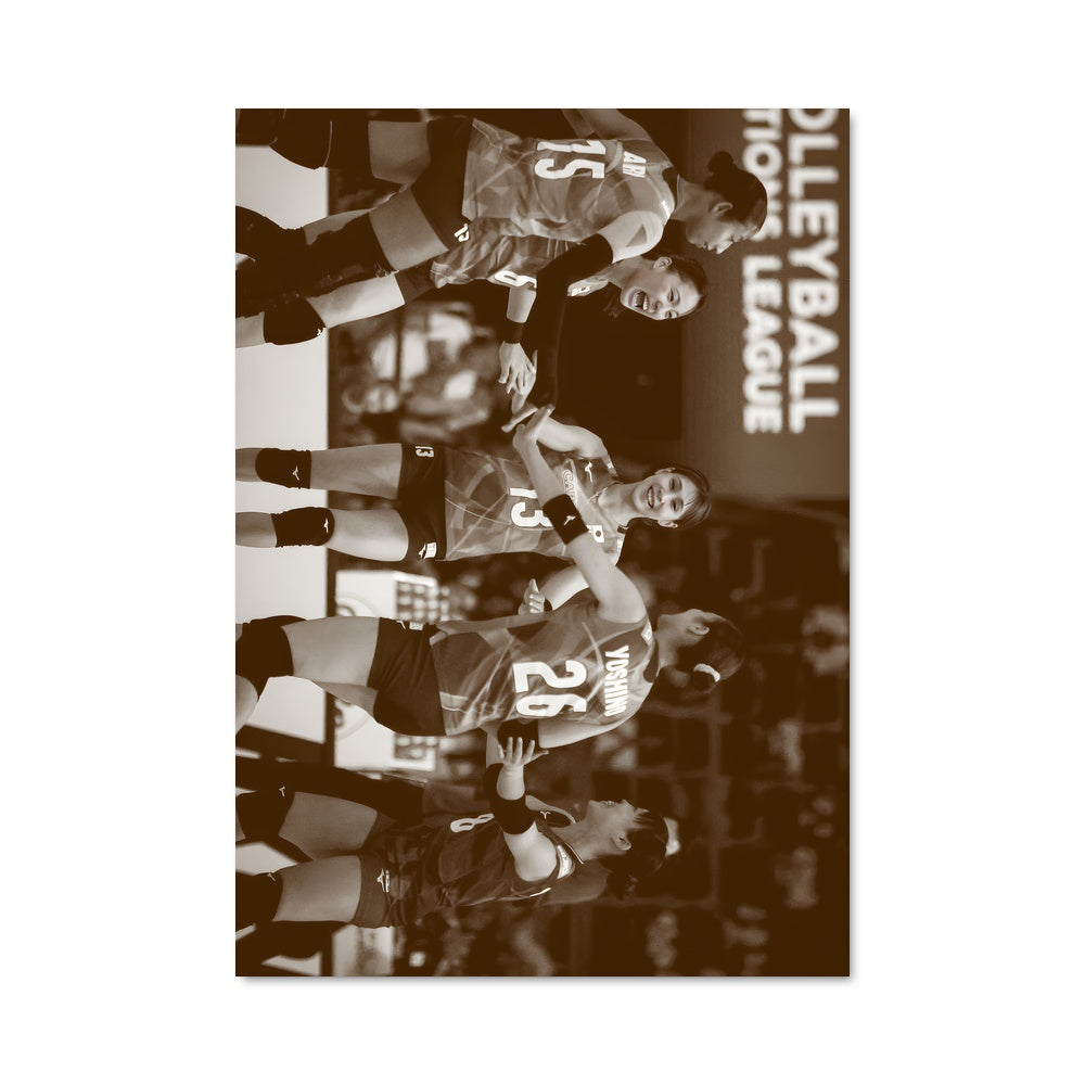 Poster Volleyball nations league 75061