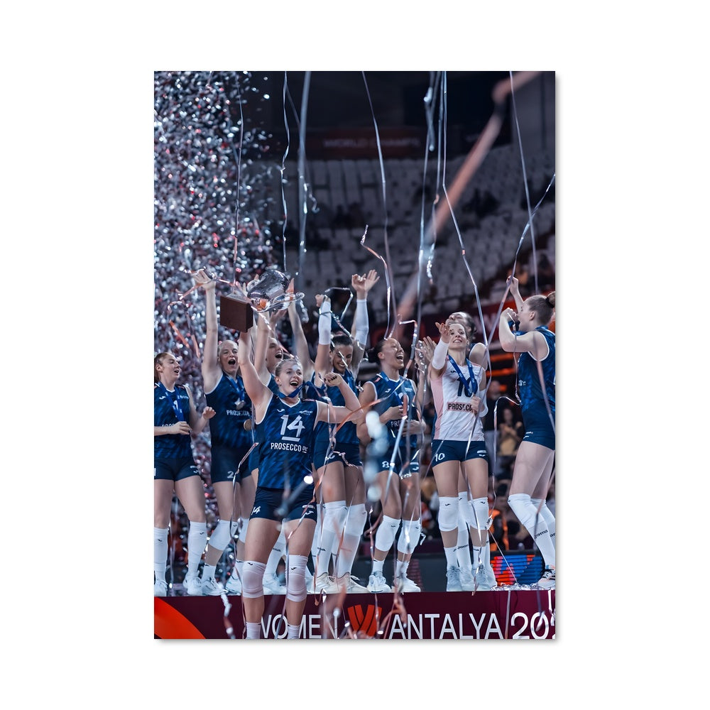 Poster Volleyball world cup 75067