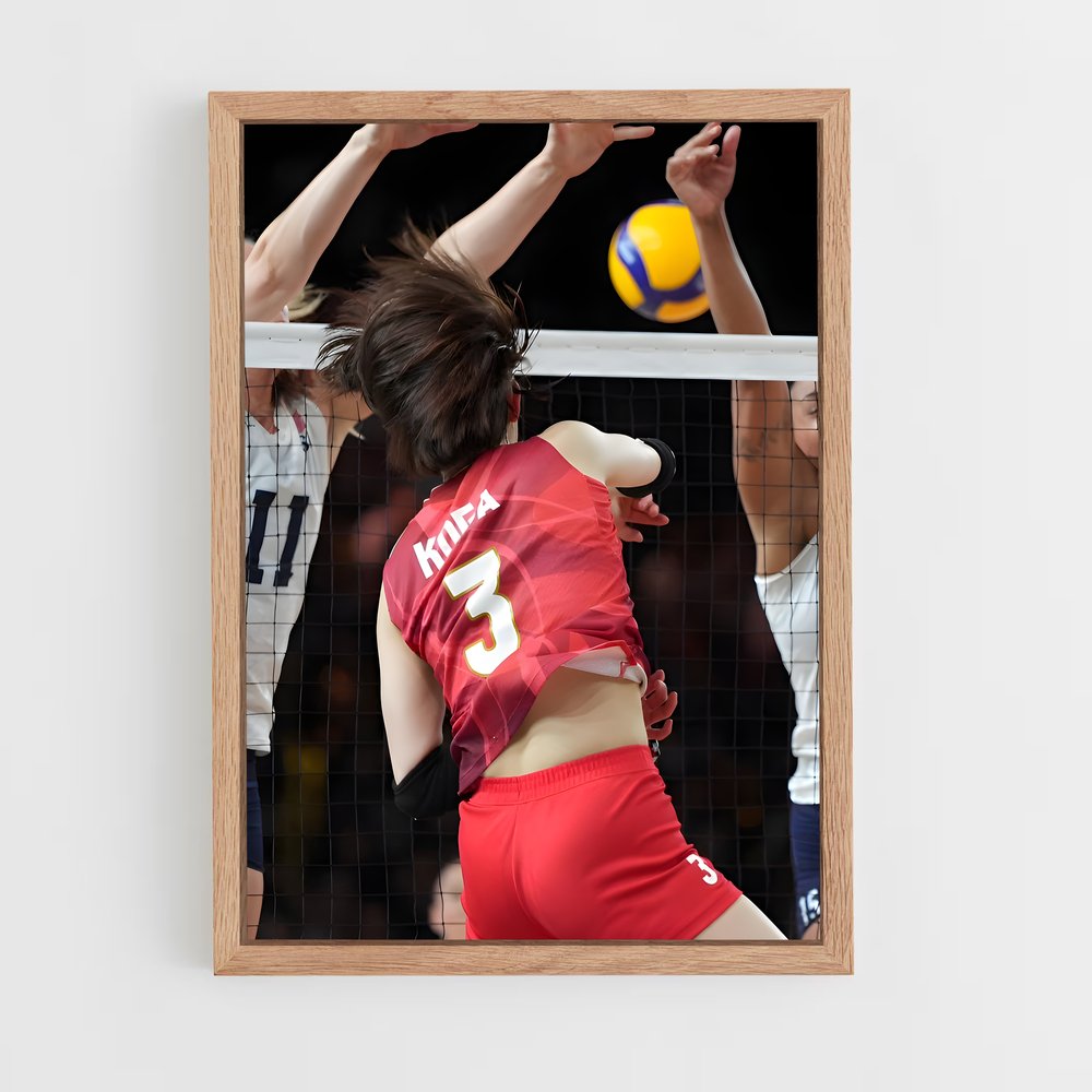 ap-volleyball nations league-2 cadre Bois clair