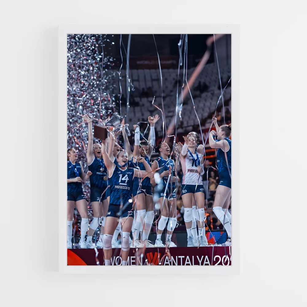 ap-volleyball world cup-3 cadre Blanc