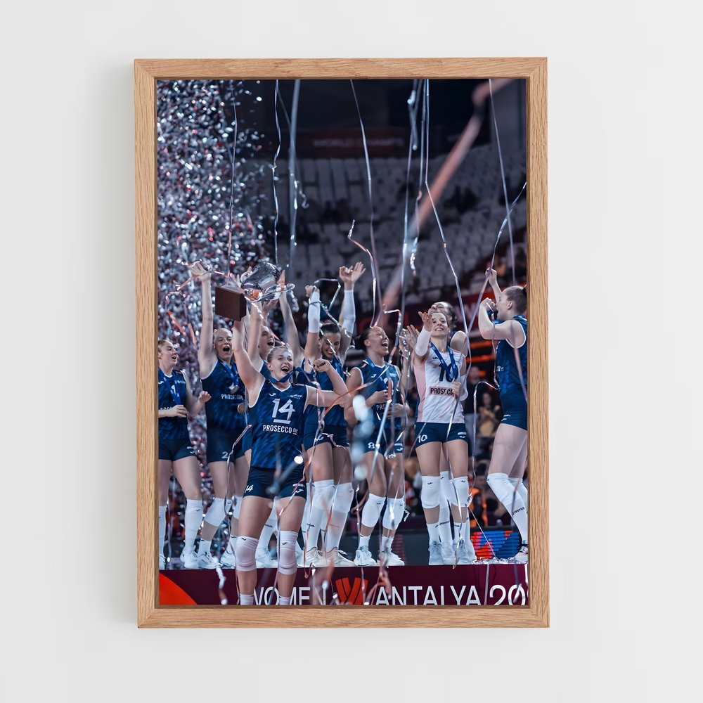 ap-volleyball world cup-3 cadre Bois clair