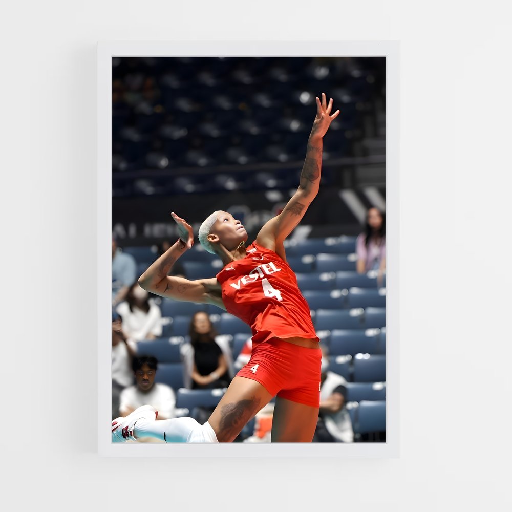 ap-volleyball world cup-7 cadre Blanc