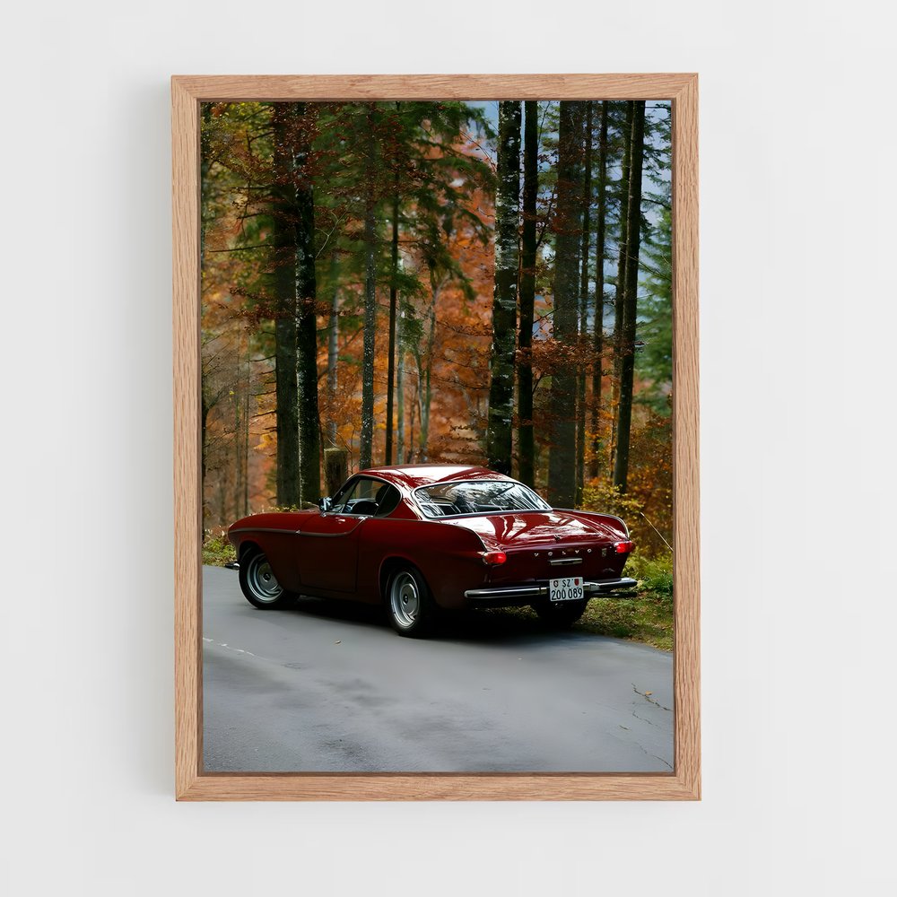 ap-volvo-3 cadre Bois clair