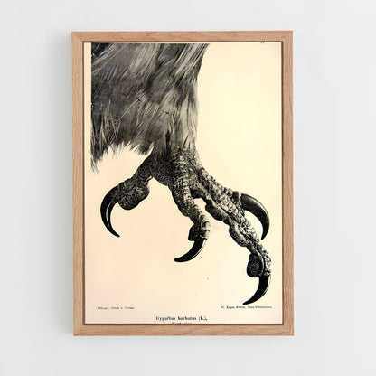 ap-vulture-8 cadre Bois clair