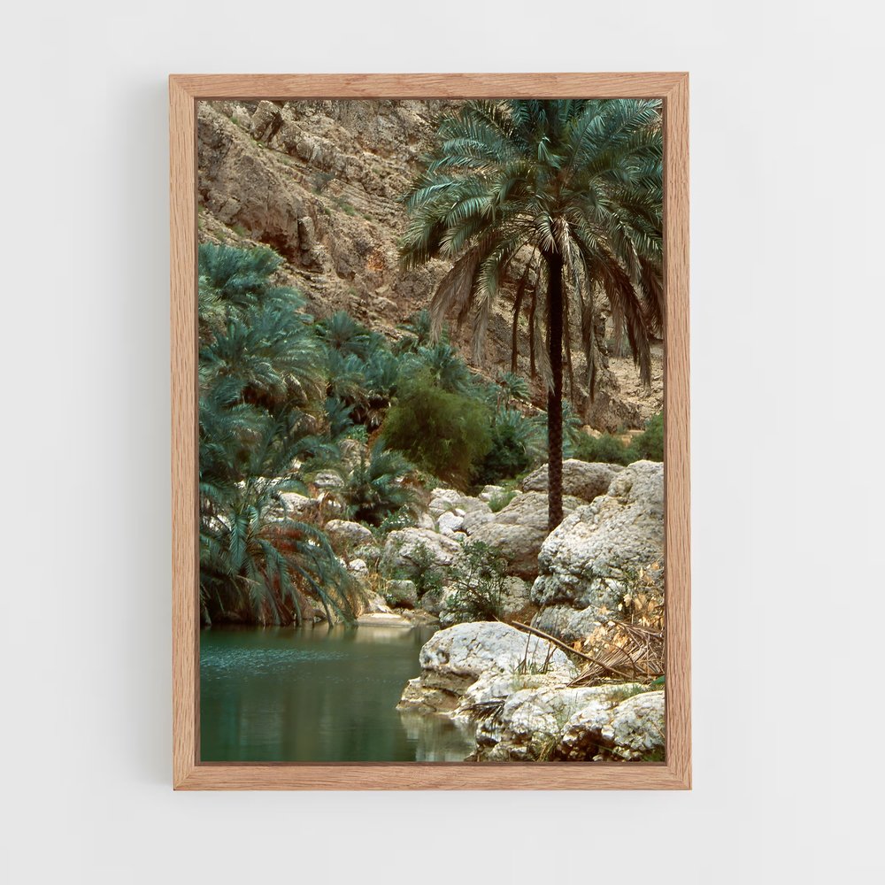 ap-wadi shab-1 cadre Bois clair