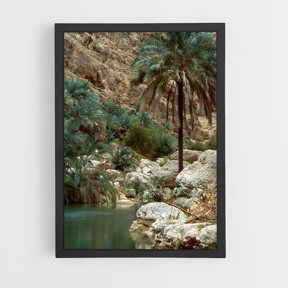 ap-wadi shab-1 cadre Noir